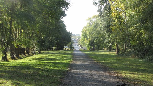 Rochefort sur loire (45)